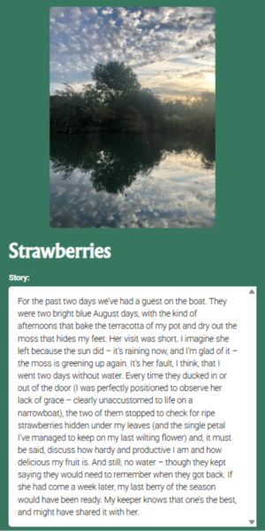 A photograph of trees, bushes and a cloudy sky reflected in water. The colours are dark and muted. The title reads 'Strawberries' and below in a text box, 'Story: For the past two days we've had a guest on the boat. They were two bright August days, with the kind of afternoons that bake the terracotta of my pot and dry out the moss that hides my feet. Her visit was short. I imagine she left because the sun did - it's raining now, and I'm glad of it - the moss is greening up again. It's her fault, I think, that I went two days without water. Everytime they ducked in or out of the door (I was perfectly positioned to observe her lack of grace - clearly unaccustomed to life on a narrowboat), the two of them stopped to check for ripe strawberries hidden under my leaves (and the single petal I've managed to keep on my last wilting flower) and, it must be said, discuss how hardy and productive I am and how delicious my fruit is. And still, no water - though they kept saying they would need to remember when they got back. If she had come a week later, the last berry of the season would have been ready. My keeper knows that one's the best, and might have shared it with her. 